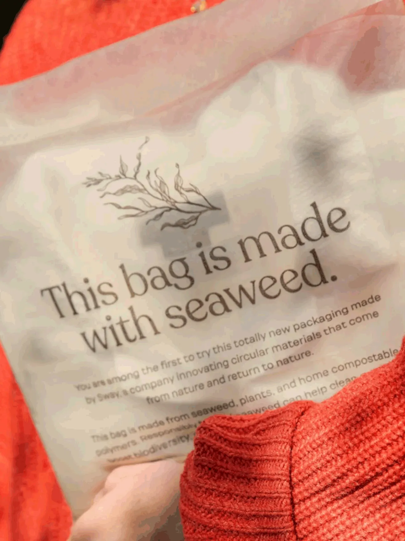 sustainable mailer made from seaweed. 