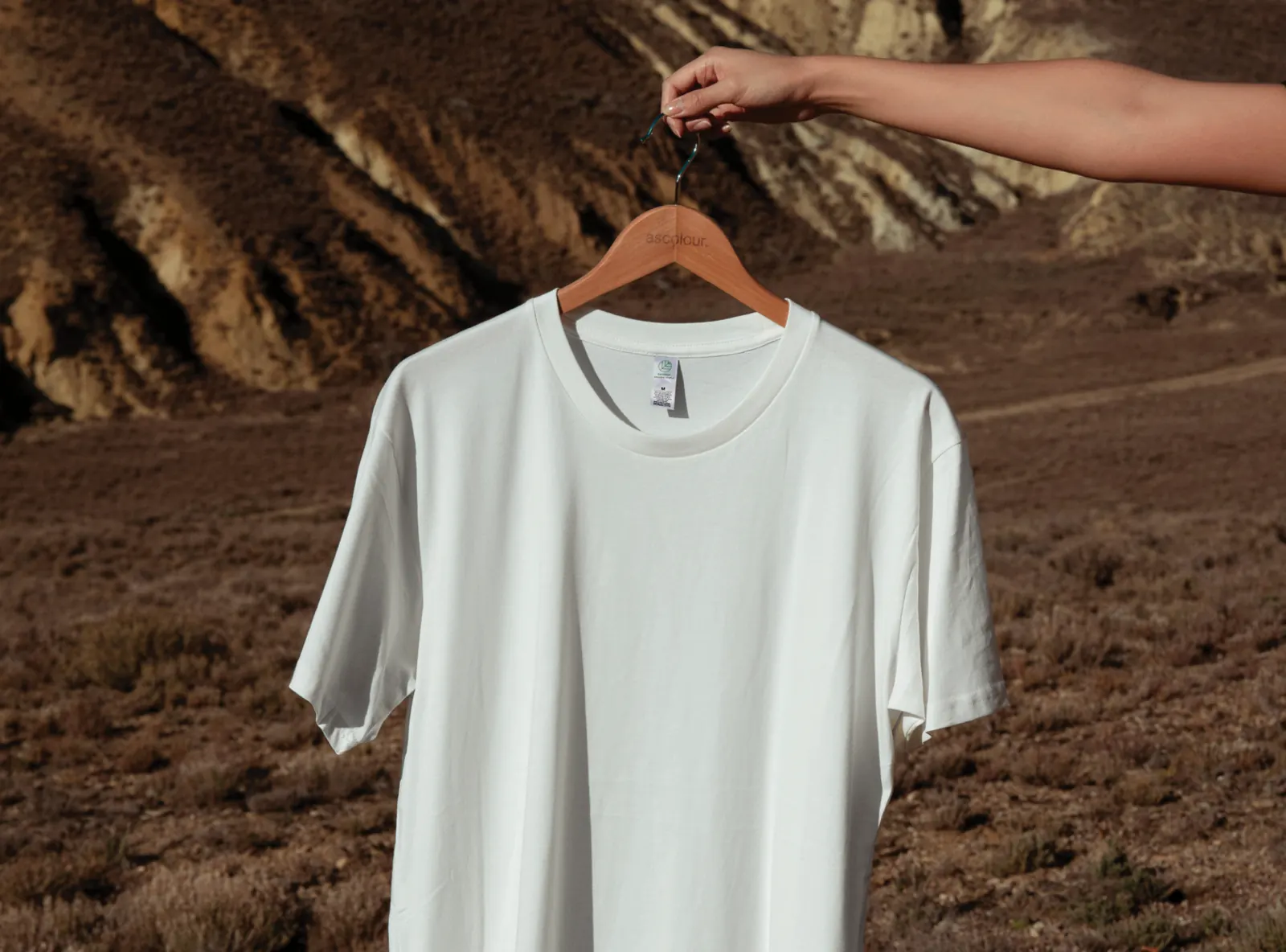 Branded T-shirt representing Kept's reforestation partnership